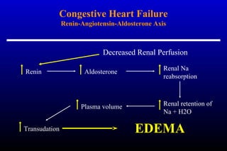 Congestive Heart Failure
Renin-Angiotensin-Aldosterone Axis
Renin Aldosterone
Renal Na
reabsorption
Renal retention of
Na + H2O
Plasma volume
Transudation EDEMA
Decreased Renal Perfusion
 