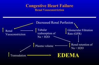 Congestive Heart Failure
Renal Vasoconstriction
Renal
Vasoconstriction
Glomerular Filtration
Rate (GFR)
Tubular
reabsorption of
Na + H2O
Plasma volume
Transudation EDEMA
Decreased Renal Perfusion
Renal retention of
Na + H2O
 