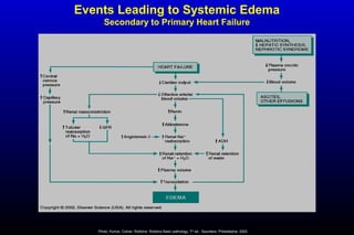 Events Leading to Systemic Edema
Secondary to Primary Heart Failure
Photo: Kumar, Cotran, Robbins. Robbins Basic pathology, 7th
ed., Saunders, Philadelphia, 2003.
 
