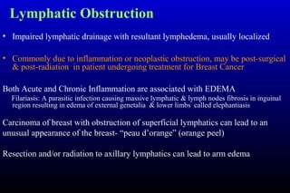 Lymphatic Obstruction
• Impaired lymphatic drainage with resultant lymphedema, usually localized
• Commonly due to inflammation or neoplastic obstruction, may be post-surgical
& post-radiation in patient undergoing treatment for Breast Cancer
Both Acute and Chronic Inflammation are associated with EDEMA
Filariasis: A parasitic infection causing massive lymphatic & lymph nodes fibrosis in inguinal
region resulting in edema of external genetalia & lower limbs called elephantiasis
Carcinoma of breast with obstruction of superficial lymphatics can lead to an
unusual appearance of the breast- “peau d’orange” (orange peel)
Resection and/or radiation to axillary lymphatics can lead to arm edema
 