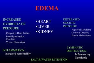 EDEMA
INCREASED
HYDROSTATIC
PRESSURE
Congestive Heart Failure
Portal hypertension
(Ascites)
Venous Obstruction
•HEART
•LIVER
•KIDNEY
INFLAMMATION
Increased permeability
DECREASED
ONCOTIC
PRESSURE
Nephrotic Syndrome
Cirrhosis (Ascites)
Protein Malnutrition
LYMPHATIC
OBSTRUCTION
Inflammatory
Neoplastic
SALT & WATER RETENTION
 