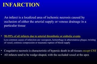 INFARCTION
An infarct is a localized area of ischemic necrosis caused by
occlusion of either the arterial supply or venous drainage in a
particular tissue
• 90-99% of all infarcts due to arterial thrombotic or embolic events
Less common causes of infarction are vasospasm, hemorrhage in atheromatous plaque, twisting
of vessel, extrinsic compression or traumatic rupture of blood supply
• Coagulative necrosis is characteristic of hypoxic death in all tissues except CNS
• All infarcts tend to be wedge-shaped, with the occluded vessel at the apex
 