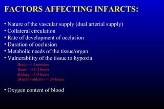 FACTORS AFFECTING INFARCTS:
• Nature of the vascular supply (dual arterial supply)
• Collateral circulation
• Rate of development of occlusion
• Duration of occlusion
• Metabolic needs of the tissue/organ
• Vulnerability of the tissue to hypoxia
Brain - < 3 minutes
Heart – 0.5-2 hours
Kidney – 2-3 hours
Skin fibroblasts - < 24 hours
• Oxygen content of blood
 