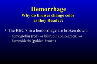 Hemorrhage
Why do bruises change color
as they Resolve?
• The RBC’s in a hemorrhage are broken down:
– hemoglobin (red) → bilirubin (blue-green) →
hemosiderin (golden-brown)
 