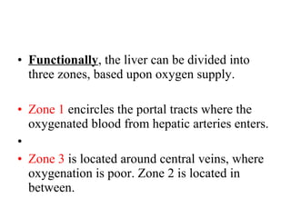 • Functionally, the liver can be divided into
three zones, based upon oxygen supply.
• Zone 1 encircles the portal tracts where the
oxygenated blood from hepatic arteries enters.
•
• Zone 3 is located around central veins, where
oxygenation is poor. Zone 2 is located in
between.

 