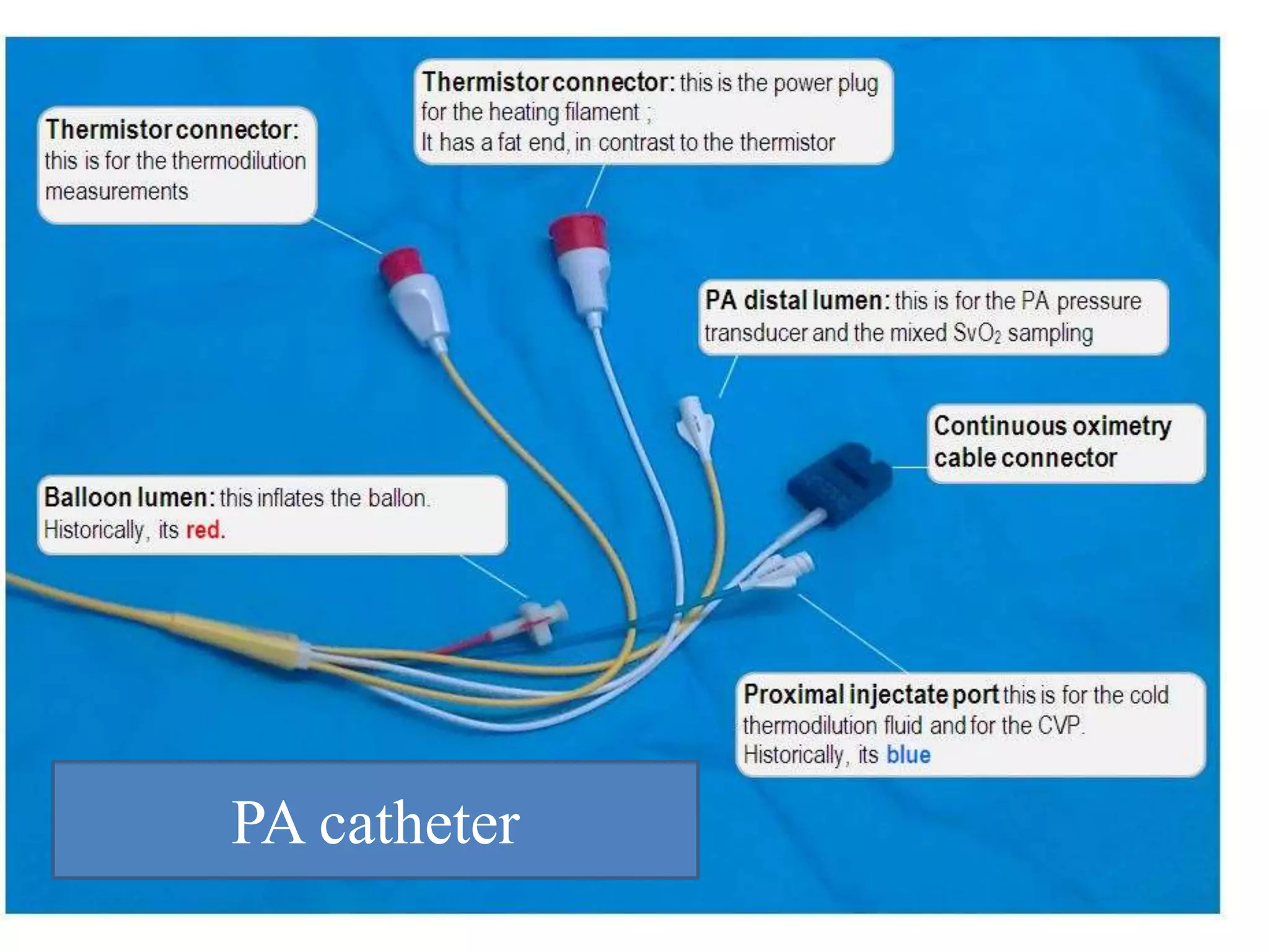PA catheter
 