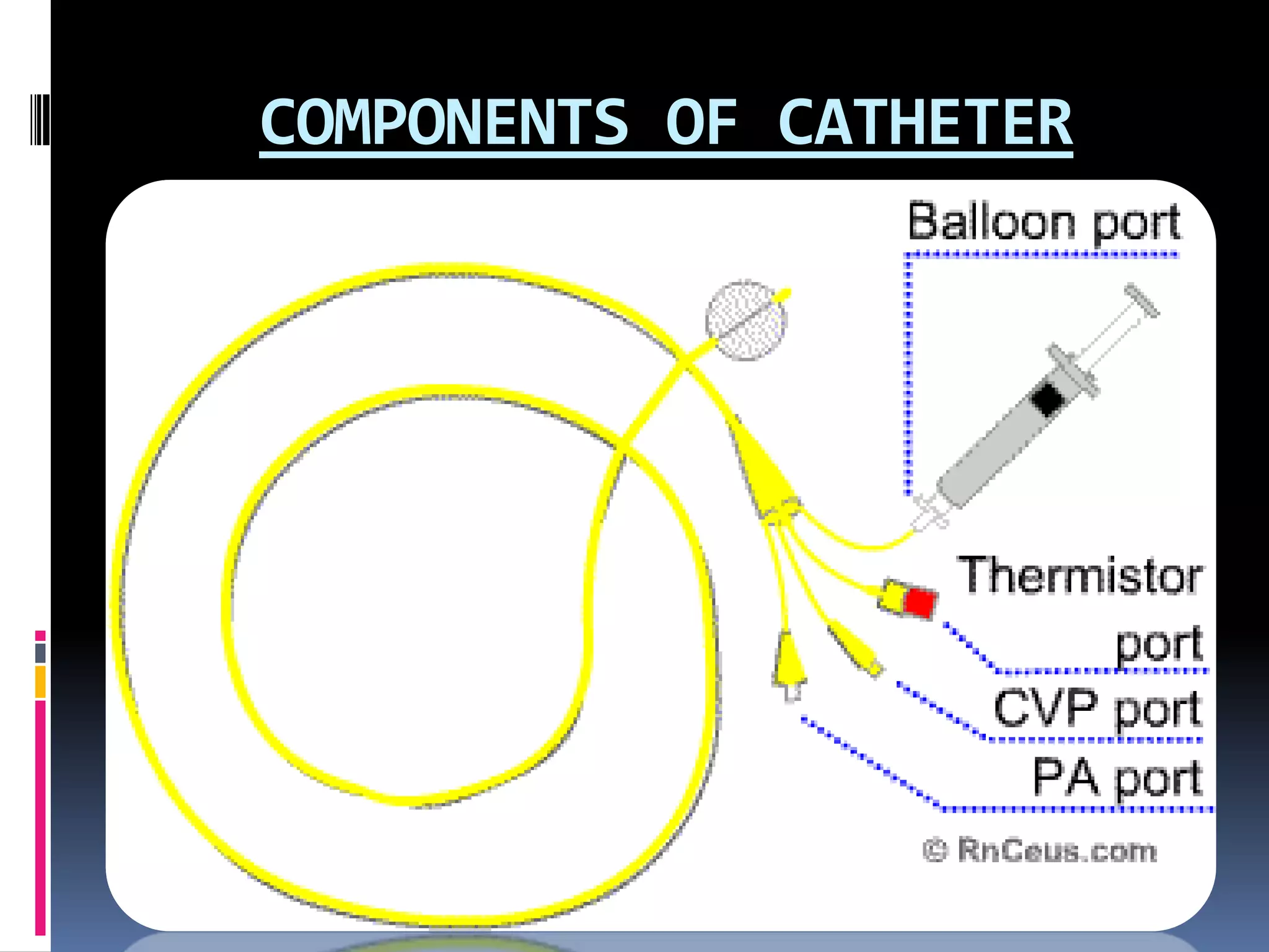 COMPONENTS OF CATHETER

 