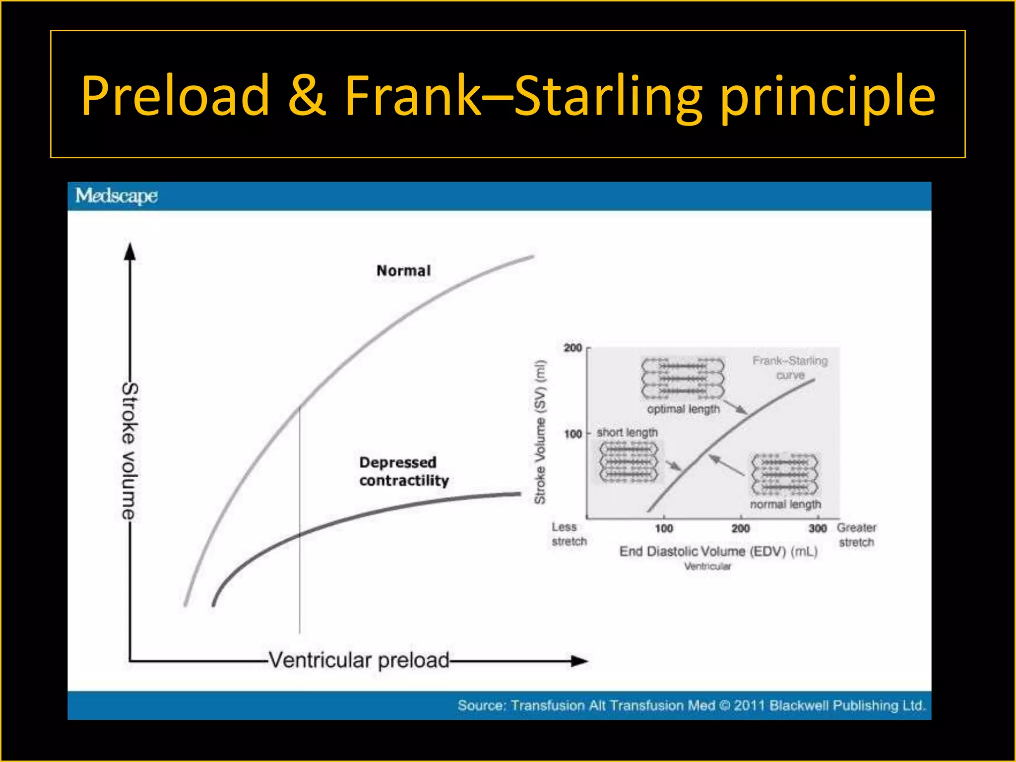 Preload & Frank–Starling principle

 