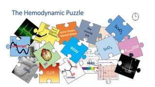 The Hemodynamic Puzzle
O2ER
NIRS
SVV
Lactate
 