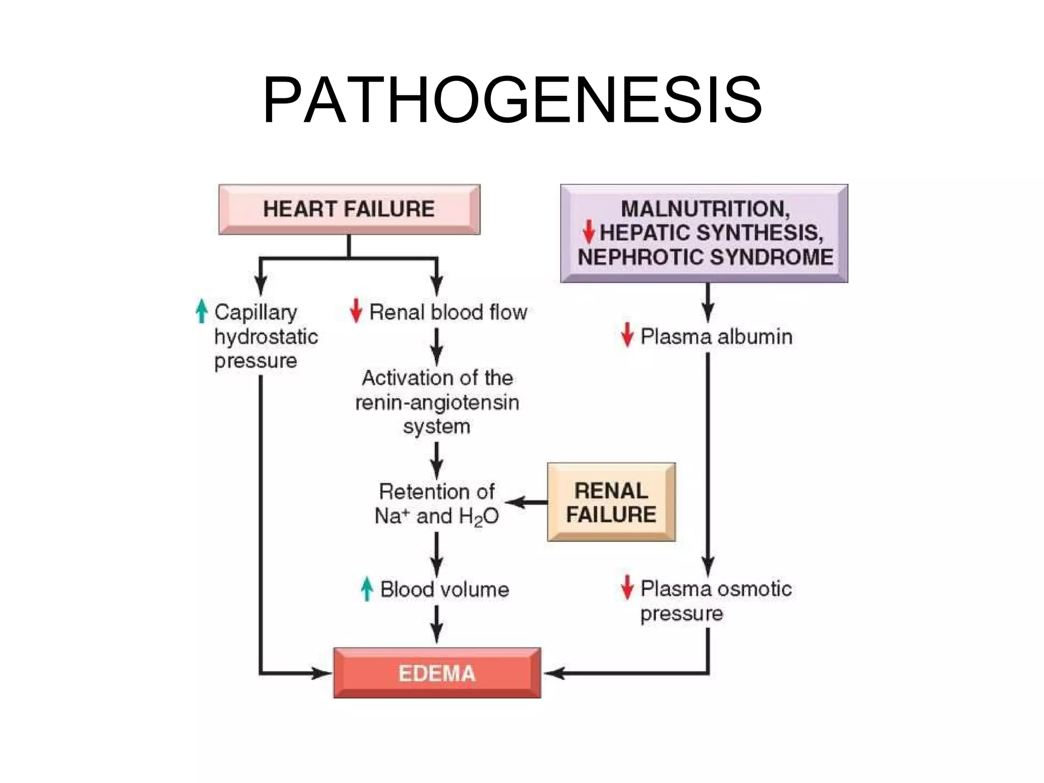 PATHOGENESIS
 