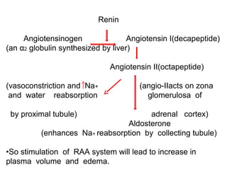 Renin
Angiotensinogen Angiotensin I(decapeptide)
(an α2 globulin synthesized by liver)
Angiotensin II(octapeptide)
(vasoconstriction and Na+ (angio-IIacts on zona
and water reabsorption glomerulosa of
by proximal tubule) adrenal cortex)
Aldosterone
(enhances Na+ reabsorption by collecting tubule)
•So stimulation of RAA system will lead to increase in
plasma volume and edema.
 