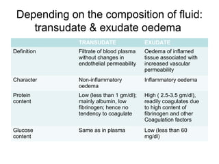 Depending on the composition of fluid:
transudate & exudate oedema
TRANSUDATE EXUDATE
Definition Filtrate of blood plasma
without changes in
endothelial permeability
Oedema of inflamed
tissue associated with
increased vascular
permeability
Character Non-inflammatory
oedema
Inflammatory oedema
Protein
content
Low (less than 1 gm/dl);
mainly albumin, low
fibrinogen; hence no
tendency to coagulate
High ( 2.5-3.5 gm/dl),
readily coagulates due
to high content of
fibrinogen and other
Coagulation factors
Glucose
content
Same as in plasma Low (less than 60
mg/dl)
 