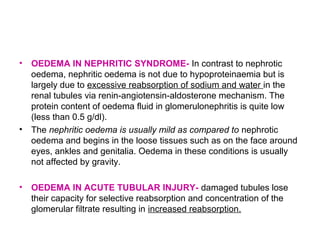 • OEDEMA IN NEPHRITIC SYNDROME- In contrast to nephrotic
oedema, nephritic oedema is not due to hypoproteinaemia but is
largely due to excessive reabsorption of sodium and water in the
renal tubules via renin-angiotensin-aldosterone mechanism. The
protein content of oedema fluid in glomerulonephritis is quite low
(less than 0.5 g/dl).
• The nephritic oedema is usually mild as compared to nephrotic
oedema and begins in the loose tissues such as on the face around
eyes, ankles and genitalia. Oedema in these conditions is usually
not affected by gravity.
• OEDEMA IN ACUTE TUBULAR INJURY- damaged tubules lose
their capacity for selective reabsorption and concentration of the
glomerular filtrate resulting in increased reabsorption.
 