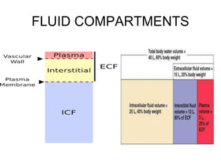 FLUID COMPARTMENTS
 