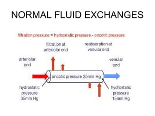 NORMAL FLUID EXCHANGES
 