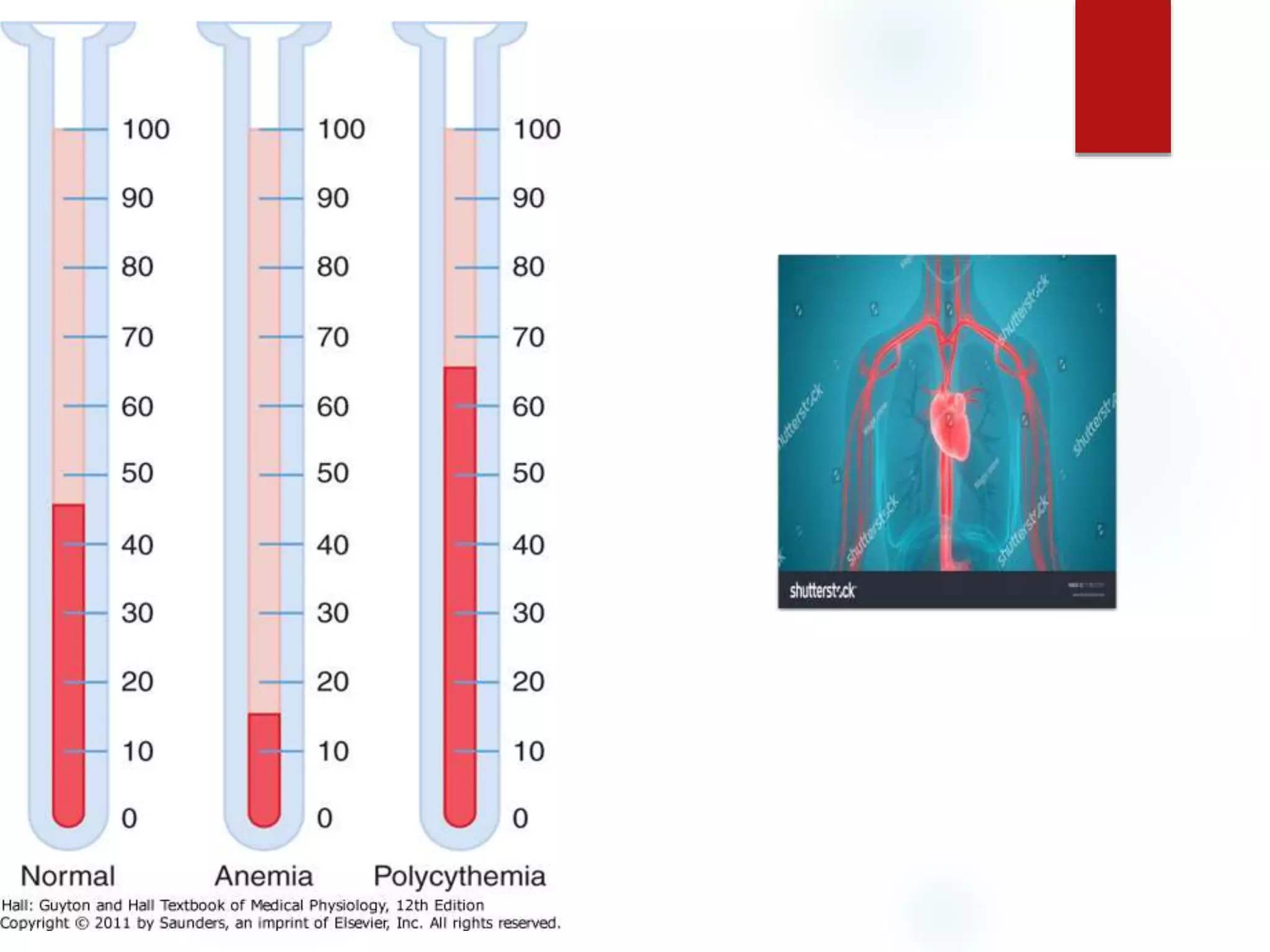 Hemodynamics over view of circulation | PPT