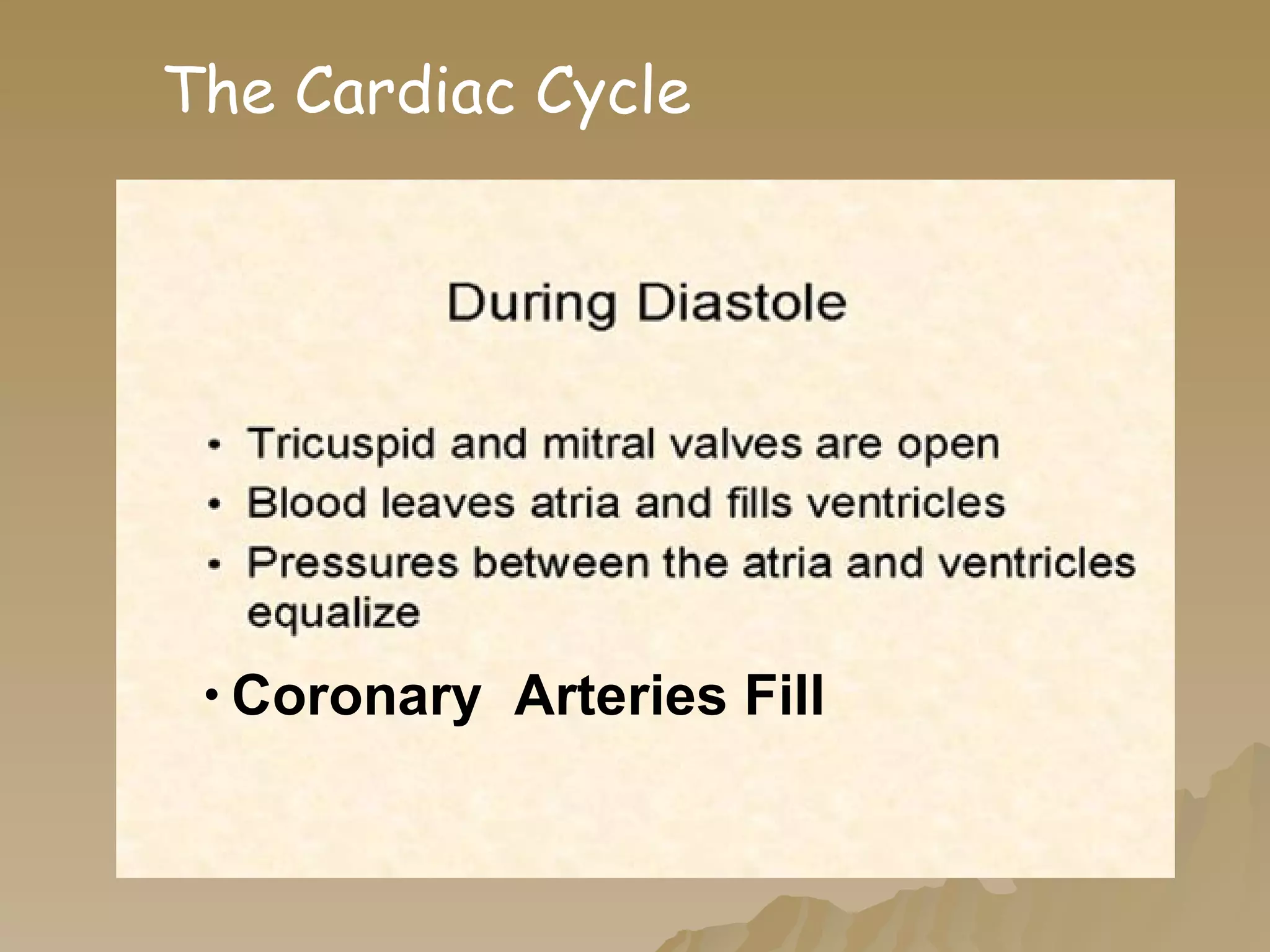 Coronary   Arteries Fill The Cardiac Cycle 
