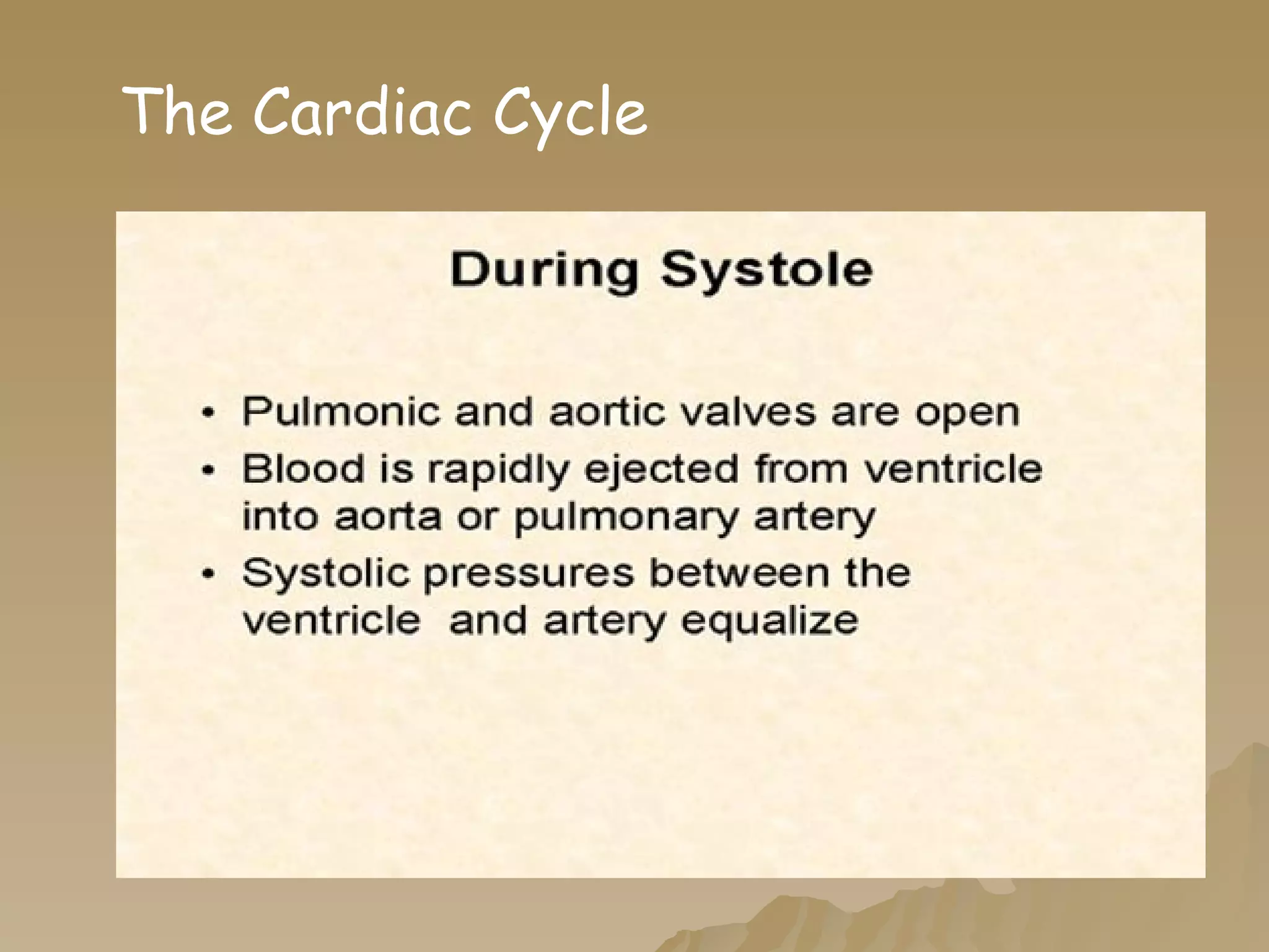 The Cardiac Cycle 