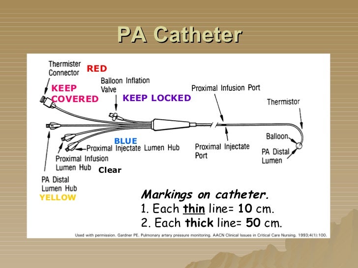 Hemodynamics Basic Concepts