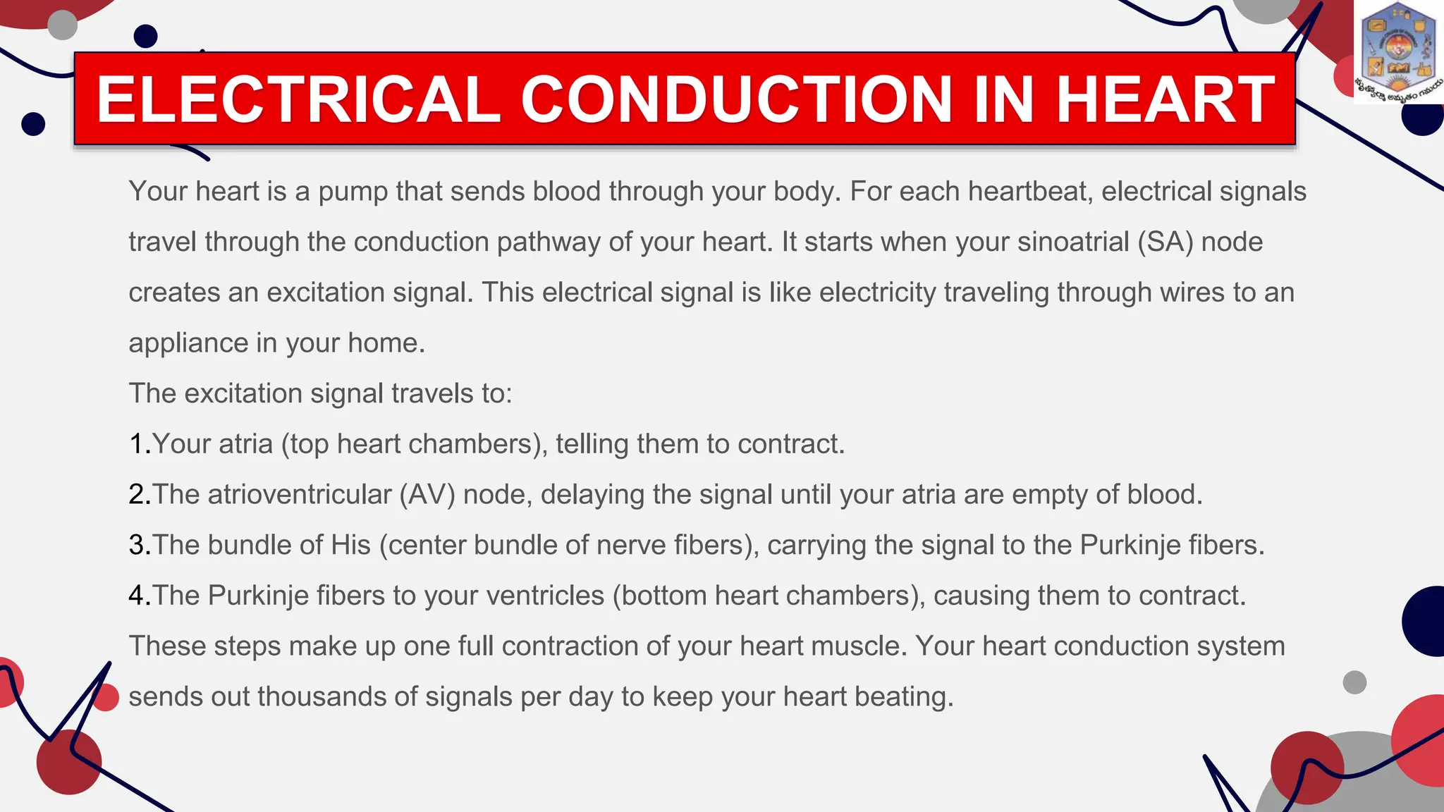 hemodynamics and electrophysiology of heart.pptx