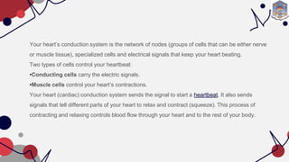 Your heart’s conduction system is the network of nodes (groups of cells that can be either nerve
or muscle tissue), specialized cells and electrical signals that keep your heart beating.
Two types of cells control your heartbeat:
•Conducting cells carry the electric signals.
•Muscle cells control your heart’s contractions.
Your heart (cardiac) conduction system sends the signal to start a heartbeat. It also sends
signals that tell different parts of your heart to relax and contract (squeeze). This process of
contracting and relaxing controls blood flow through your heart and to the rest of your body.
 