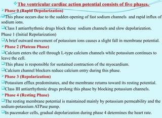 The ventricular cardiac action potential consists of five phases.
Phase 0 (Rapid Depolarization)
This phase occurs due to the sudden opening of fast sodium channels and rapid influx of
sodium ions.
Class I antiarrhythmic drugs block these sodium channels and slow depolarization.
Phase 1 (Initial Repolarization)
A brief outward movement of potassium ions causes a slight fall in membrane potential.
Phase 2 (Plateau Phase)
Calcium enters the cell through L-type calcium channels while potassium continues to
leave the cell.
This phase is responsible for sustained contraction of the myocardium.
Calcium channel blockers reduce calcium entry during this phase.
Phase 3 (Repolarization)
Potassium efflux predominates, and the membrane returns toward its resting potential.
Class III antiarrhythmic drugs prolong this phase by blocking potassium channels.
Phase 4 (Resting Phase)
The resting membrane potential is maintained mainly by potassium permeability and the
sodium-potassium ATPase pump.
In pacemaker cells, gradual depolarization during phase 4 determines the heart rate.
 