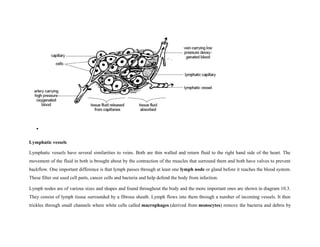 •
Lymphatic vessels
Lymphatic vessels have several similarities to veins. Both are thin walled and return fluid to the right hand side of the heart. The
movement of the fluid in both is brought about by the contraction of the muscles that surround them and both have valves to prevent
backflow. One important difference is that lymph passes through at least one lymph node or gland before it reaches the blood system.
These filter out used cell parts, cancer cells and bacteria and help defend the body from infection.
Lymph nodes are of various sizes and shapes and found throughout the body and the more important ones are shown in diagram 10.3.
They consist of lymph tissue surrounded by a fibrous sheath. Lymph flows into them through a number of incoming vessels. It then
trickles through small channels where white cells called macrophages (derived from monocytes) remove the bacteria and debris by
 