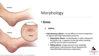 HEMODYNAMICS PPT .pptx