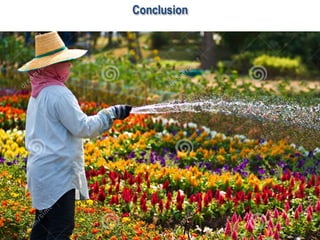 Conclusion
L’hémodynamique c’est pas si compliqué !
 