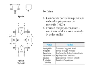 Porfirina:

3. Compuesta por 4 anillo pirrolicos
   enlazados por puentes de
   metenilo (-HC=)
4. Forman complejos con iones
   metálicos unidos a los átomos de
   N de los anillos
 