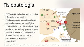 Fisiopatología
• LT CD8 y NK eliminación de células
infectadas o tumorales
• Células presentadoras de antígeno
activan la sinapsis inmunológica
• LT y NK libera gránulos citolíticos que
contienen perforina y granzima para
la destrucción de las células diana.
• Una vez destruidas se controla
eficazmente la respuesta
inmunitaria.
Zhang Y, Cheng Z, Hu Y, Tang LV. Management of Complex Infections in Hemophagocytic Lymphohistiocytosis in Adults. Microorganisms. 2023;11(7):1694.
 