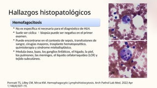 Hallazgos histopatológicos
Ponnatt TS, Lilley CM, Mirza KM. Hemophagocytic Lymphohistiocytosis. Arch Pathol Lab Med. 2022 Apr
1;146(4):507–19.
Hemofagocitosis
• No es específica ni necesaria para el diagnóstico de HLH.
• Suele ser cíclica biopsia puede ser negativa en el primer
examen.
• Puede encontrarse en el contexto de sepsis, transfusiones de
sangre, cirugías mayores, trasplante hematopoyético,
quimioterapia y síndrome mielodisplásico.
• Medula ósea, bazo, los ganglios linfáticos, el hígado, la piel,
los pulmones, las meninges, el líquido cefalorraquídeo (LCR) y
tejido subcutáneo.
 