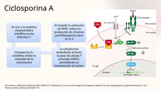 Ciclosporina A
Summerlin J, Wells DA, Anderson MK, Halford Z. A Review of Current and Emerging Therapeutic Options for Hemophagocytic Lymphohistiocytosis. Ann
Pharmacother. 2023 Jul;57(7):867–79.
Se une a la proteína
citoplasmática
ciclofilina en los
linfocitos T.
Ciclosporina A-
ciclofilina inhibe la
actividad de la
calcineurina
La calcineurina
desfosforila al factor
nuclear de células T
activadas (NFAT),
permitiendo su
translocación al núcleo.
Al impedir la activación
de NFAT, reduce la
producción de citocinas
proinflamatorias clave
ej. IL-2
 