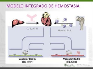 MODELO INTEGRADO DE HEMOSTASIA