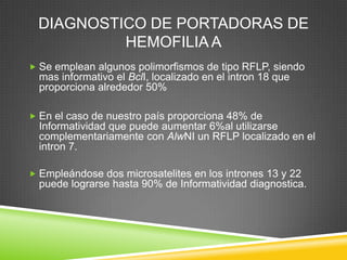 DIAGNOSTICO DE PORTADORAS DE
HEMOFILIA A
 Se emplean algunos polimorfismos de tipo RFLP, siendo
mas informativo el BclI, localizado en el intron 18 que
proporciona alrededor 50%
 En el caso de nuestro país proporciona 48% de
Informatividad que puede aumentar 6%al utilizarse
complementariamente con AlwNI un RFLP localizado en el
intron 7.
 Empleándose dos microsatelites en los intrones 13 y 22
puede lograrse hasta 90% de Informatividad diagnostica.
 