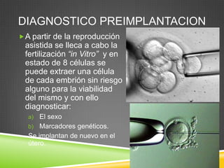 DIAGNOSTICO PREIMPLANTACION
A partir de la reproducción
asistida se lleca a cabo la
fertilización “in Vitro” y en
estado de 8 células se
puede extraer una célula
de cada embrión sin riesgo
alguno para la viabilidad
del mismo y con ello
diagnosticar:
a) El sexo
b) Marcadores genéticos.
Se implantan de nuevo en el
útero.
 