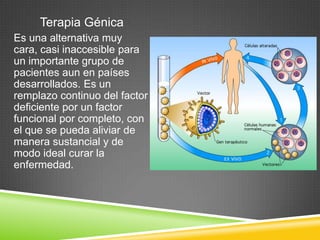 Terapia Génica
Es una alternativa muy
cara, casi inaccesible para
un importante grupo de
pacientes aun en países
desarrollados. Es un
remplazo continuo del factor
deficiente por un factor
funcional por completo, con
el que se pueda aliviar de
manera sustancial y de
modo ideal curar la
enfermedad.
 