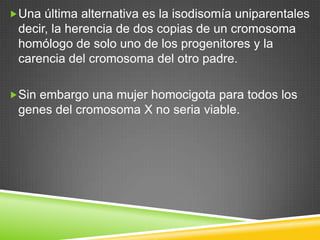 Una última alternativa es la isodisomía uniparentales
decir, la herencia de dos copias de un cromosoma
homólogo de solo uno de los progenitores y la
carencia del cromosoma del otro padre.
Sin embargo una mujer homocigota para todos los
genes del cromosoma X no seria viable.
 