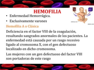 HEMOFILIA

• Enfermedad Hemorrágica.
• Exclusivamente varones
Hemofilia A o Clásica
Deficiencia en el factor VIII de la coagulación,
resultando sangrados anormales de los pacientes. La
enfermedad está causada por un rasgo recesivo
ligado al cromosoma X, con el gen defectuoso
localizado en dicho cromosoma.
Las mujeres con un gen defectuoso del factor VIII
son portadoras de este rasgo

 