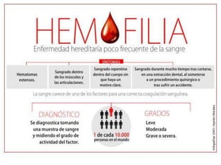 HEMOFILIA
 