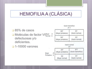 HEMOFILIA A (CLÁSICA)
 85% de casos
 Moléculas de factor VIII
defectuosas y/o
deficientes.
 1-10000 varones
 