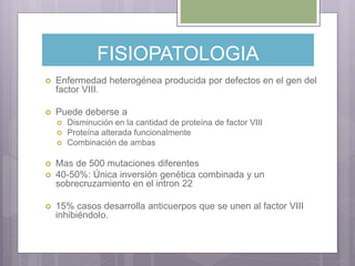 FISIOPATOLOGIA
 Enfermedad heterogénea producida por defectos en el gen del
factor VIII.
 Puede deberse a
 Disminución en la cantidad de proteína de factor VIII
 Proteína alterada funcionalmente
 Combinación de ambas
 Mas de 500 mutaciones diferentes
 40-50%: Única inversión genética combinada y un
sobrecruzamiento en el intron 22
 15% casos desarrolla anticuerpos que se unen al factor VIII
inhibiéndolo.
 
