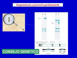 CONSEJO GENETICO Diagnósticarla y prevenirla genéticamente 
