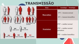 TRANSMISSÃO
 