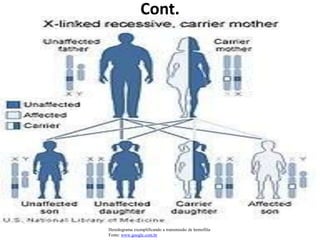 Cont.
Heredograma exemplificando a transmissão de hemofilia
Fonte: www.google.com.br
 