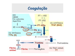 via final comum
TT
via intrínseca
TTPa (R)
via extrínseca
TPAP (RNI)
Coagulação
FT + VII
FT-VII
FT-VIIa
Ca/PL
Ca
Fibrina
estável
XIII
XIIIa
Ca
IX IXa
Ca/PL
VIIIa
Ca/PLVIII
XI XIa Ca
XII
HMWK
Pré-calicreína
Superfície
X Xa
Trombina
FibrinogênioFibrina
V Va Ca/PL
Protrombina
 