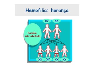 Hemofilia: herança
Família
não afetada
XX
XY XYXX XX
XY
 