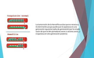 La transmisión de la Hemofilia se dice que es recesiva y 
no dominante ya que puede que no aparezca en una 
generación siguiente (salto de generación) por la simple 
razón de que se den portadoras sanas o varones sanos, y 
sí aparezca en otra generación posterior. 
 