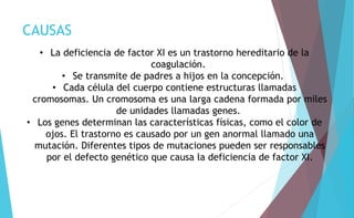 CAUSAS 
• La deficiencia de factor XI es un trastorno hereditario de la 
coagulación. 
• Se transmite de padres a hijos en la concepción. 
• Cada célula del cuerpo contiene estructuras llamadas 
cromosomas. Un cromosoma es una larga cadena formada por miles 
de unidades llamadas genes. 
• Los genes determinan las características físicas, como el color de 
ojos. El trastorno es causado por un gen anormal llamado una 
mutación. Diferentes tipos de mutaciones pueden ser responsables 
por el defecto genético que causa la deficiencia de factor XI. 
 