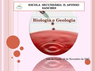 ESCOLA  SECUNDÁRIA  D. AFONSO SANCHES Biologia e Geologia Vila do Conde, 16 de Novembro de 2007 